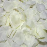 DiabloPicante - 100 бели ливчиња од ружа