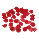 DiabloPicante - 100 црвени ливчиња од ружа