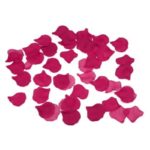 DiabloPicante - 100 фуксија ливчиња од ружа
