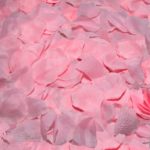 DiabloPicante - 100 розови ливчиња од ружа